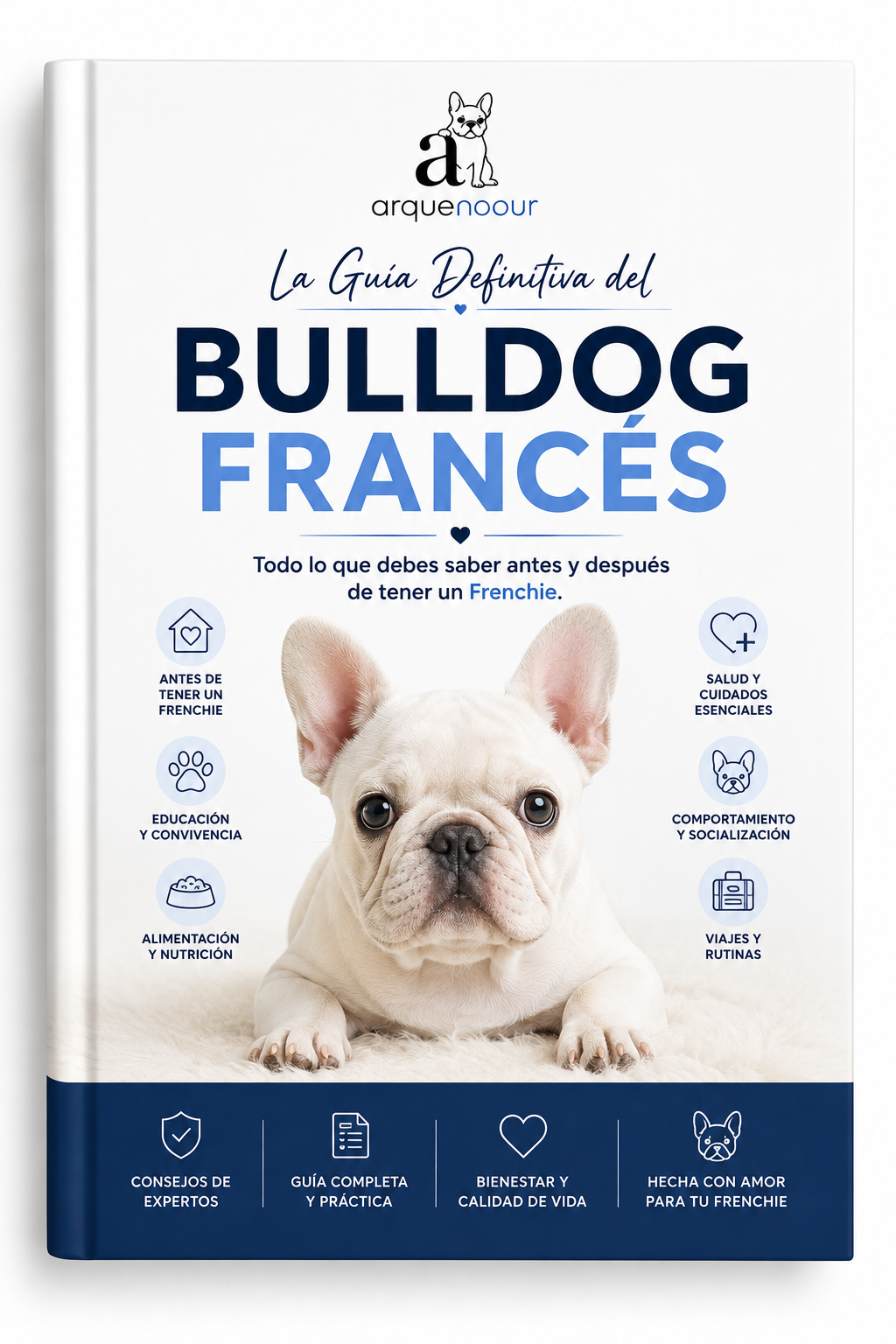 La Guía Definitiva del Bulldog Francés: Todo lo que Debes Saber Antes y Después de Tener un Frenchie