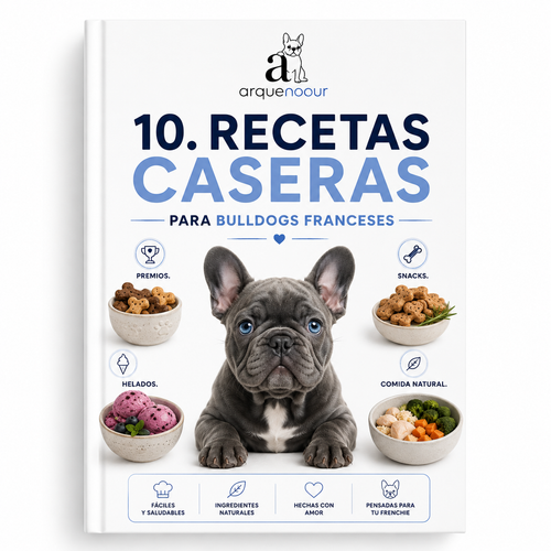 10 Recetas Caseras para Bulldogs Franceses | Premios, Snacks y Comida Natural