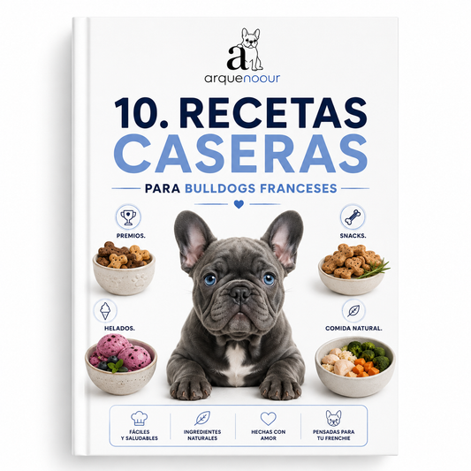 10 Recetas Caseras para Bulldogs Franceses | Premios, Snacks y Comida Natural