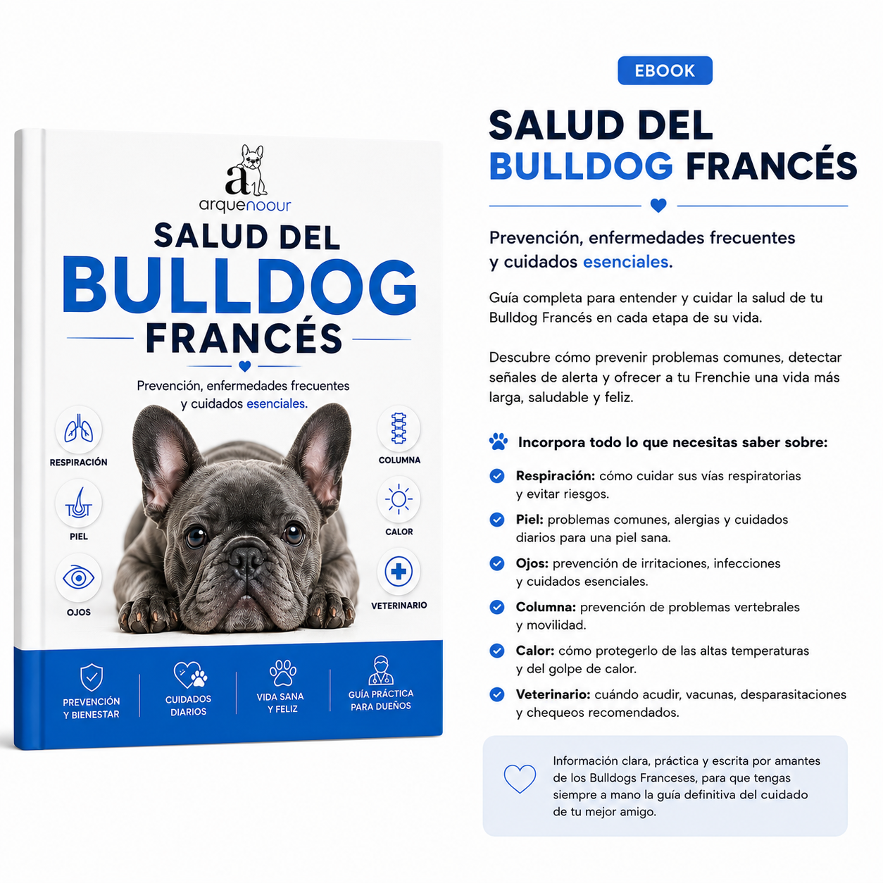 Salud del Bulldog Francés: Prevención, Enfermedades Frecuentes y Cuidados Esenciales