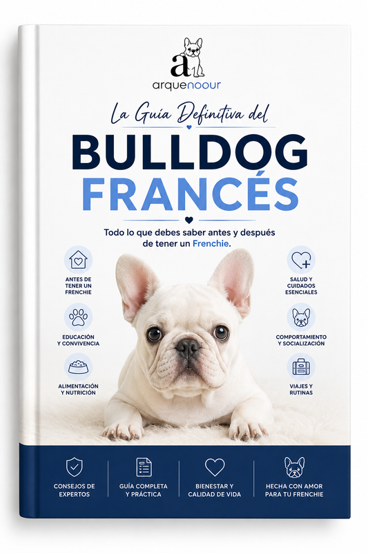 La Guía Definitiva del Bulldog Francés: Todo lo que Debes Saber Antes y Después de Tener un Frenchie