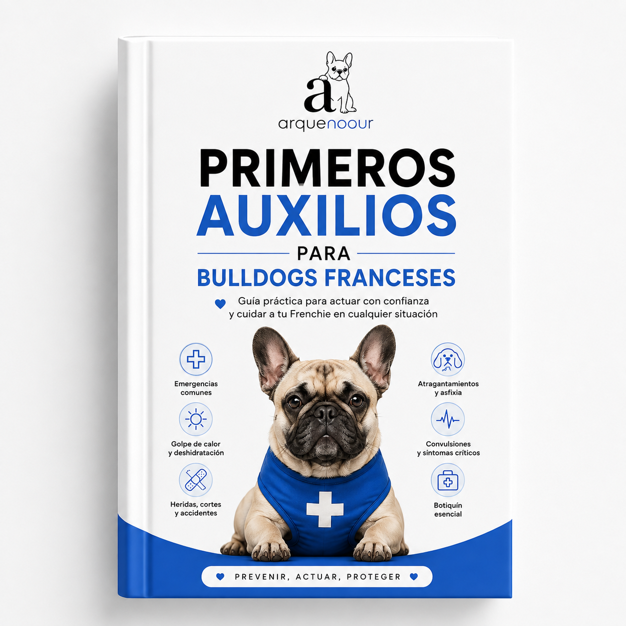 Primeros Auxilios para tu Bulldog Francés