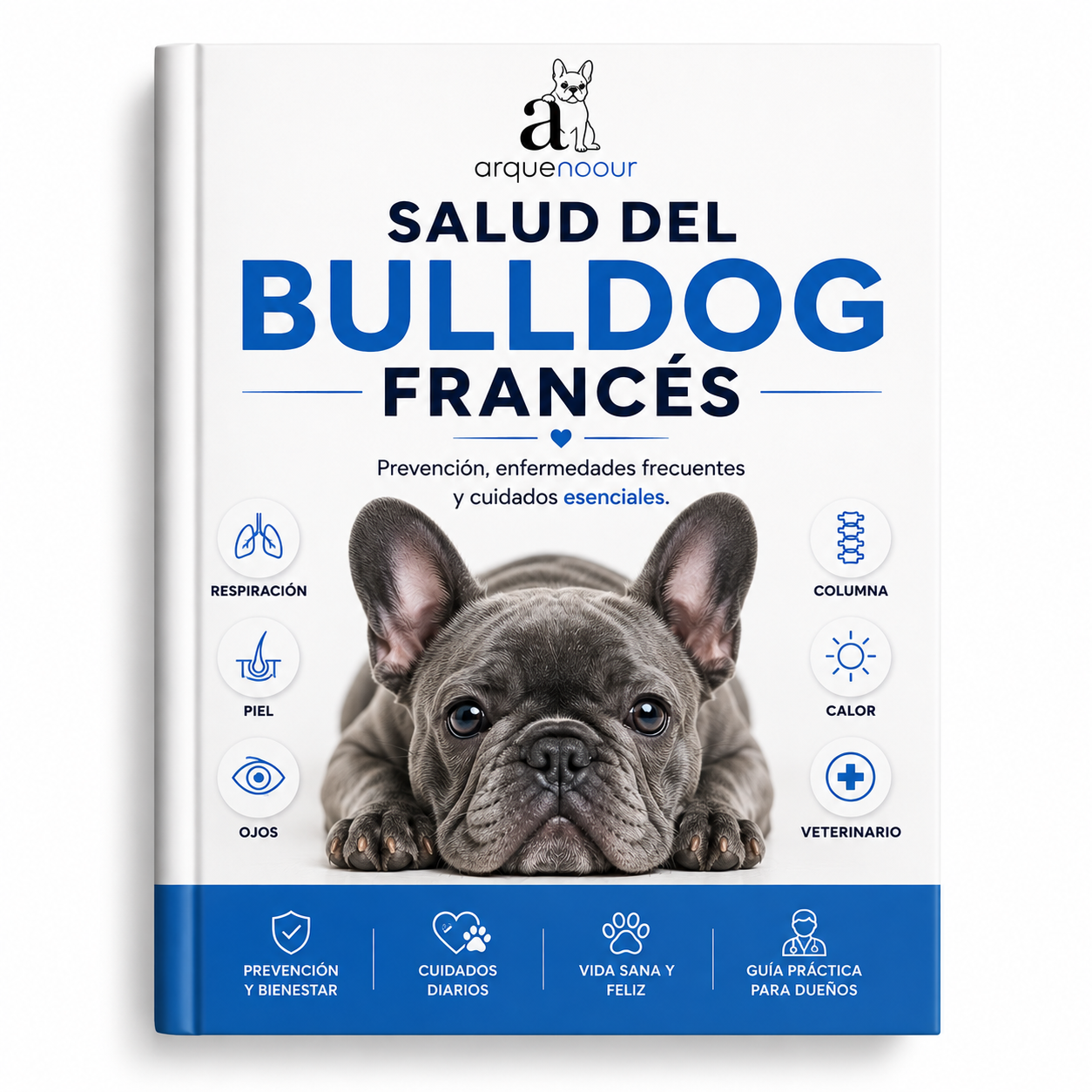 Salud del Bulldog Francés: Prevención, Enfermedades Frecuentes y Cuidados Esenciales